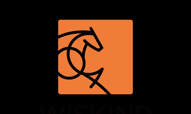 Wiskind new enterprise visual identity system, officially launched!